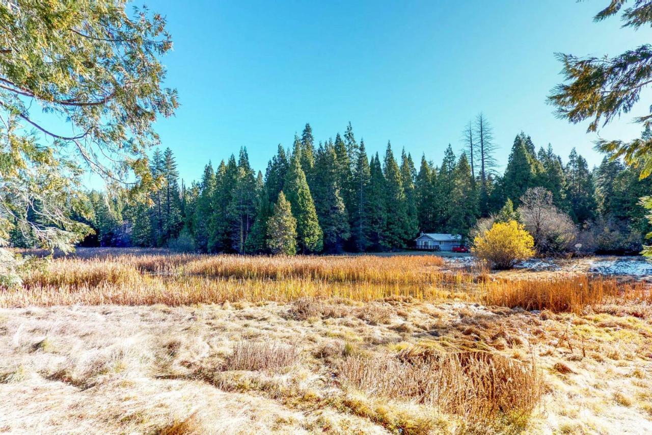 Pond View Lodge Shaver Lake Εξωτερικό φωτογραφία